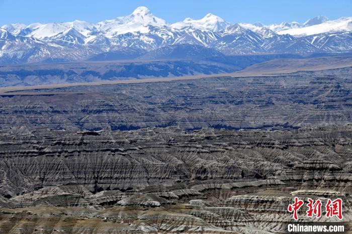 4月5日，西藏阿里札達土林?！±盍?攝