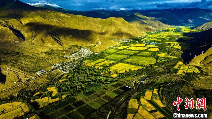 圖為山南雍布拉康附近農(nóng)田?！埼?攝