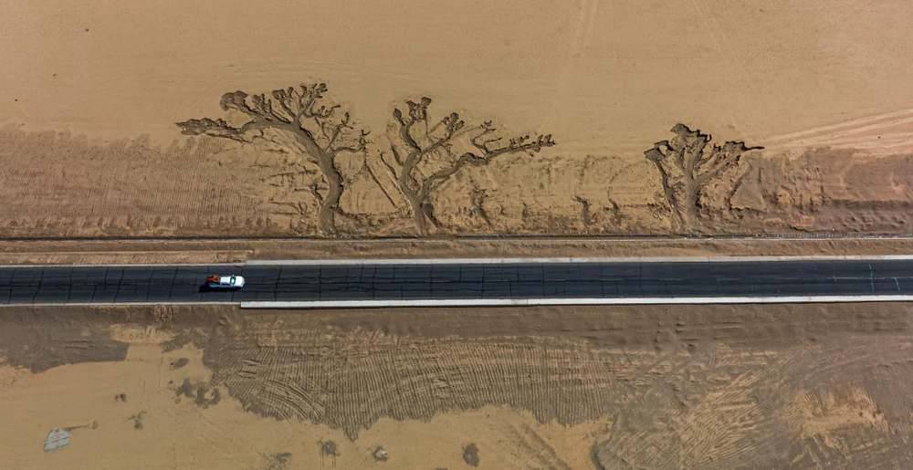 位于國道216沿線的“大地之樹”。邊巴多吉攝